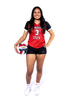 LANGHAM CREEK_VB-(BROWN)