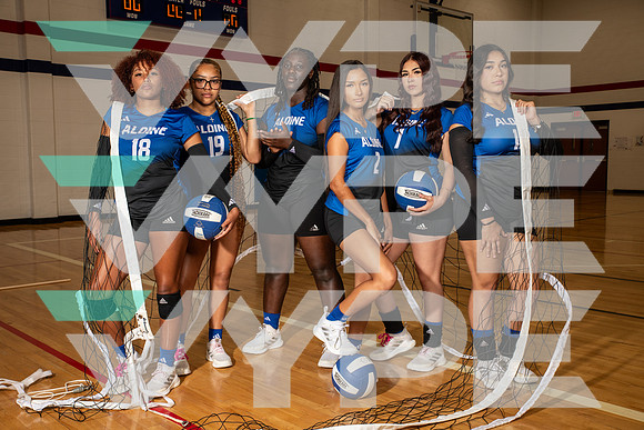 ALDINE_VB_0225-(BROWN)